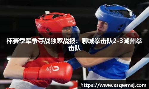 杯赛季军争夺战独家战报：聊城拳击队2-3湖州拳击队